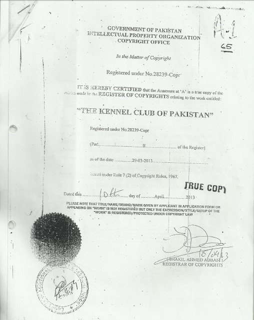 Item 4